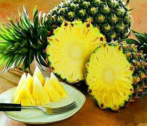 广东菠萝